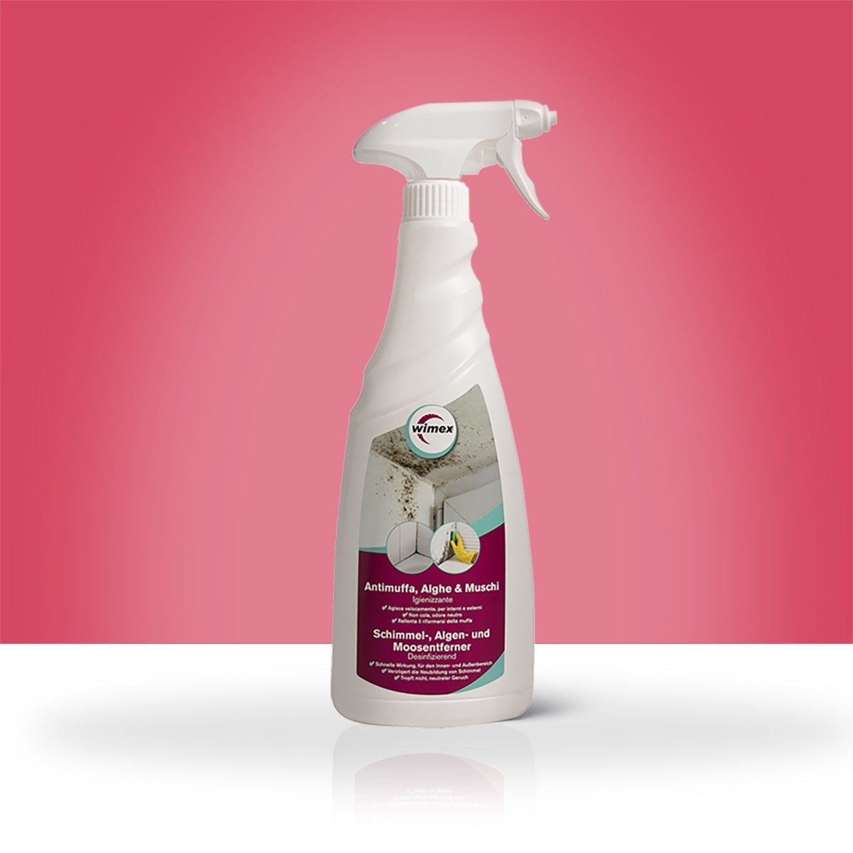 Spray antimuffa, schiuma detergente antimuffa, potente detergente per  schiuma multiuso, rimuove le macchie per il bagno della cucina