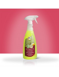 Detersivo spray per pulizia fughe pavimenti. 750ml