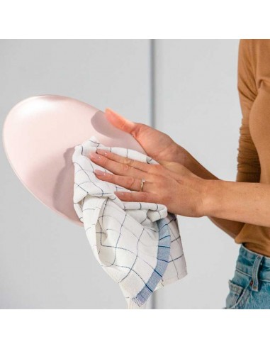 Panno asciugapiatti blu