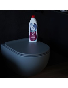 Prodotti per la pulizia di bagno e Wc 2