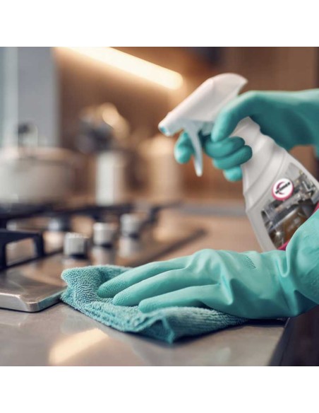 Detergente acciaio. Pulisce, lucida, igienizza. 750 ml