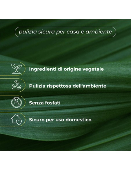 Bio-mex 900gr detergente universale ecologico. 2 spugne incluse